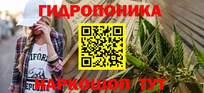 стаф Будённовск