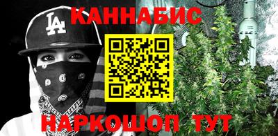 стаф Будённовск