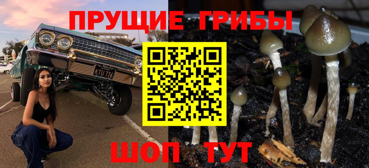 Магнитогорск  Псилоцибиновые грибы Cubensis  Вход с VPN 