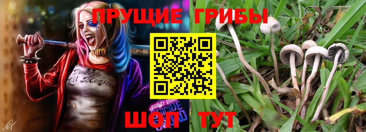 Галлюциногенные грибы Cubensis Магнитогорск